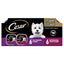 Cesar Filet Mignon et Steak Porterhouse Pack de Variété Classique