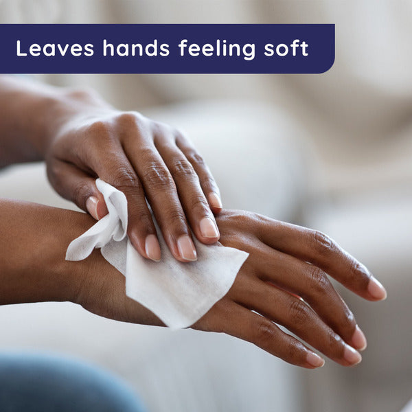 Wet Ones Hand Wipes, Individually Wrapped, Fresh Scent