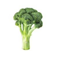 Organic Broccoli - Fresh and Flavorful