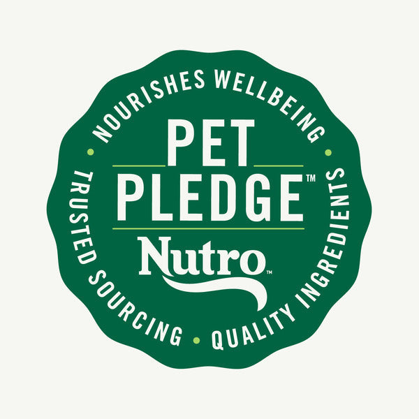 NUTRO Wholesome Essentials Comida Seca para Gatos de Interior, Pollo y Arroz Integral, 5 lbs.