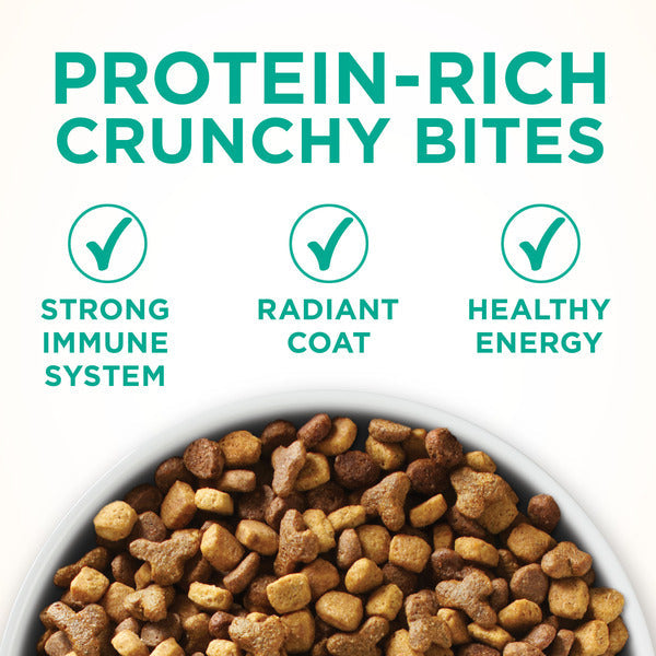 Purina ONE Comida Seca Natural para Gatos, Fórmula para Piel y Estómago Sensibles