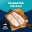 Blue Buffalo Freedom Grain Free Indoor Fish Cat Food