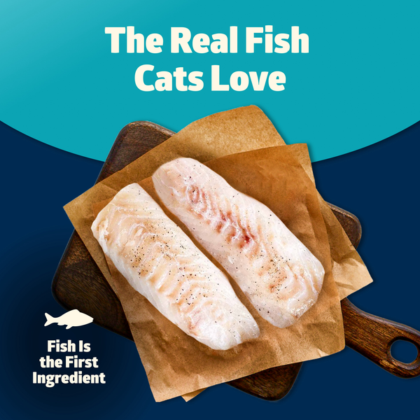 Blue Buffalo Freedom Grain Free Indoor Fish Cat Food