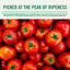 Del Monte Italian Recipe Stewed Tomatoes