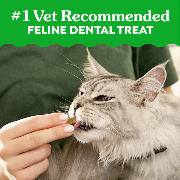 GREENIES Dental Cat Treats - Oven-Roasted Chicken Flavor