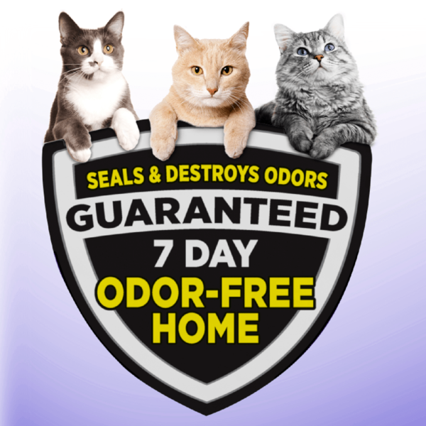 Arm & Hammer Clump & Seal Slide Easy Clean-Up Cat Litter