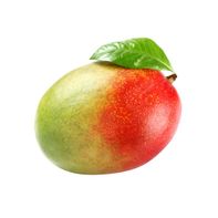 Mulch de Mango Orgánico
