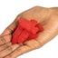 SWEDISH FISH Caramelo Gummy Suave y Masticable 3.1 oz