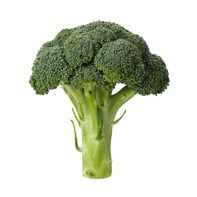 Premium Fresh Broccoli