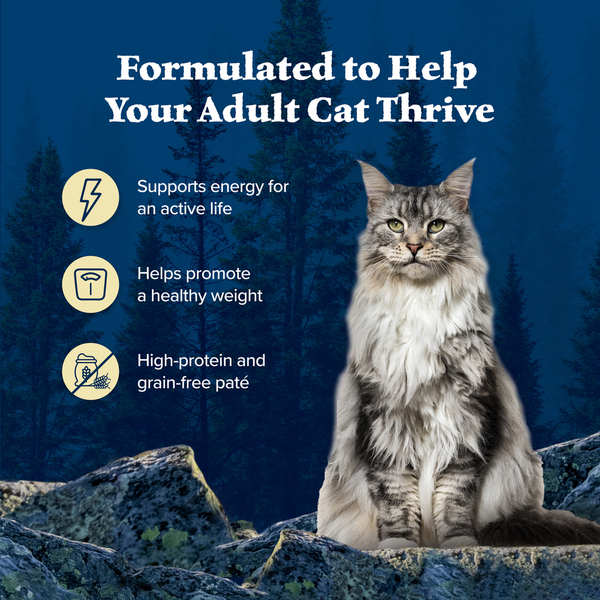 Blue Buffalo Wilderness High Protein Pate Wet Cat Food Variety Pack