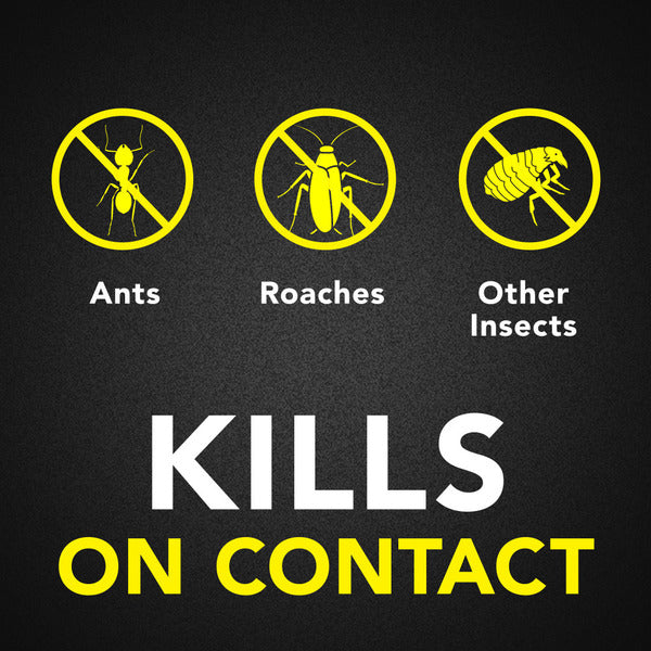 Raid Ant and Roach Killer Aerosol Spray - Aroma de Lavanda