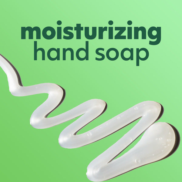 Softsoap Liquid Hand Soap Pump - Aloe Vera Fresh