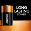 Piles alcalines Duracell Coppertop D - Source d'énergie fiable