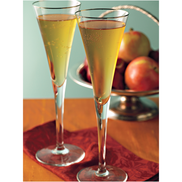 Mélange de boisson instantané au cidre de pomme épicé sans sucre Alpine