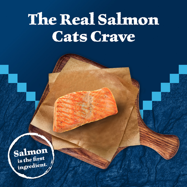 Blue Buffalo Wilderness High Protein Grain Free Wet Cat Food - Salmon
