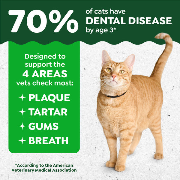 GREENIES Feline Dental Cat Treats, Sabor a Catnip
