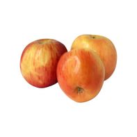 Premium Fresh Apples