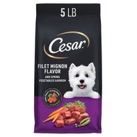 Cesar Small Breed Dry Dog Food - Filet Mignon Flavor