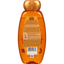 Garnier Whole Blends Illuminating Shampoo with Argan & Camellia Oils