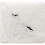 Green Forest Luncheon Napkins - 1-Ply, Eco-Friendly