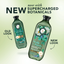 Herbal Essences Eucalyptus + Potent Aloe Shampoo