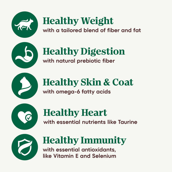 NUTRO Wholesome Essentials Comida Seca para Gatos de Interior, Pollo y Arroz Integral, 5 lbs.