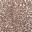 Cocoa Luxe Cuddle Bunny Leo Fabric - 58"/60" per yard