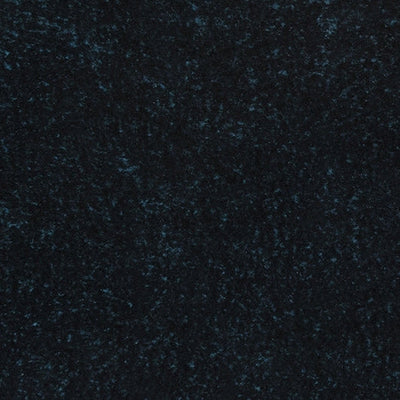Tela de foca bebé de lujo Cuddle Frosted Bayou/Negro - 58"/60" por yarda