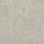 Luxe Cuddle Frosted Baby Seal Fabric - 58"/60" per yard