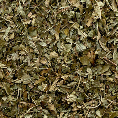 Hoja de Verbena de Limón Premium - Hierba Culinaria Aromática