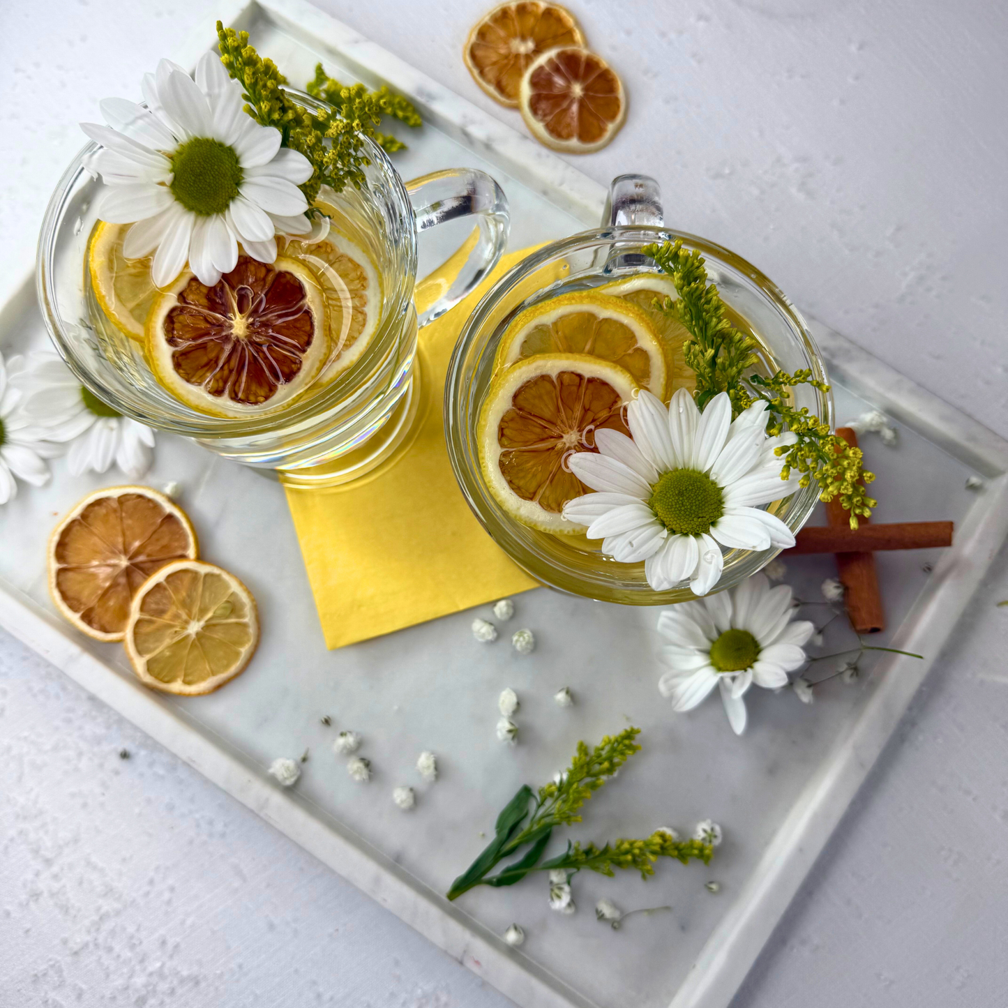 Dehydrated Lemon Slices for Bar & Decor