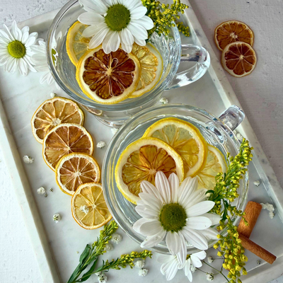 Tranches de citron déshydratées pour bar et décoration