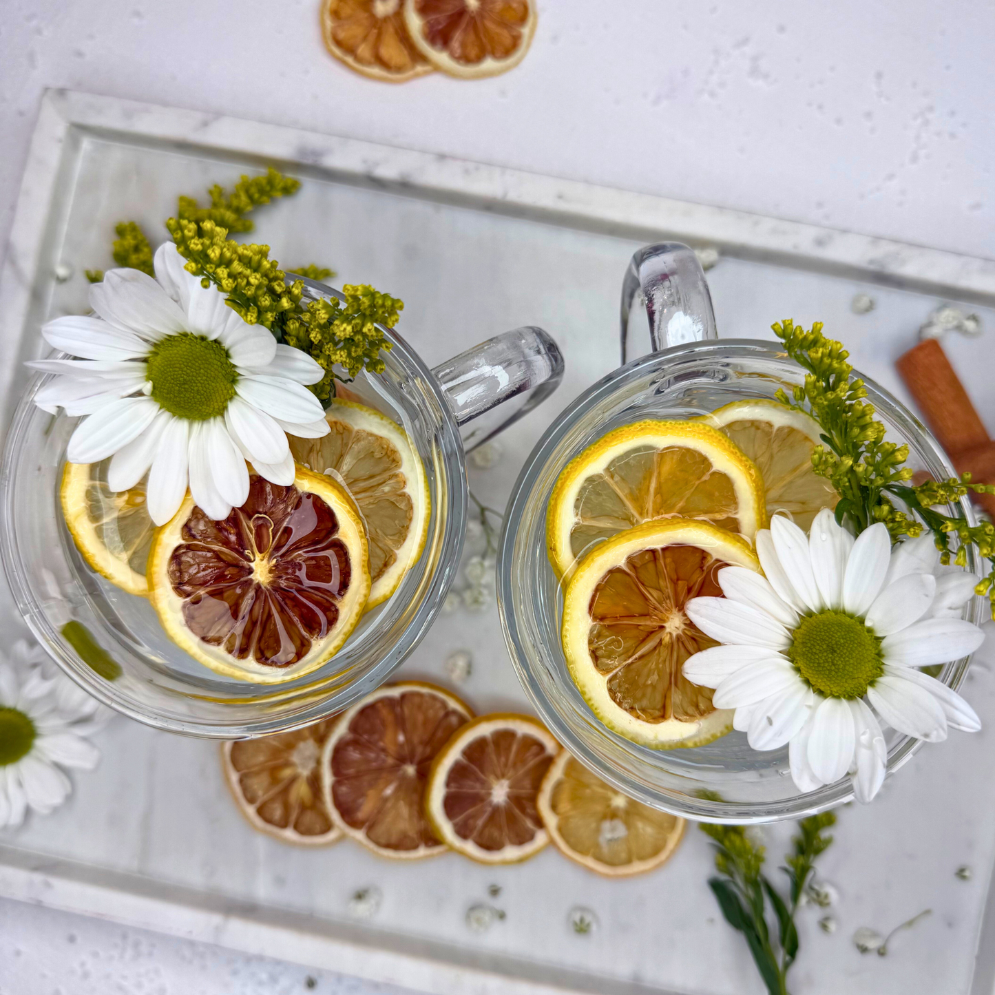 Dehydrated Lemon Slices for Bar & Decor