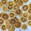 Dehydrated Lemon Slices for Bar & Decor