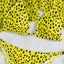 Leopard Print 3 Piece Swimsuit Set with Long Sleeves