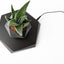 LevitaSphere Magnetic Levitation Plant Pot