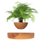 LevitaSphere Wood Grain - Korvel