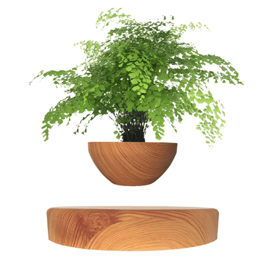 LevitaSphere Wood Grain - Korvel