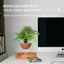 LevitaSphere Wood Grain - Korvel