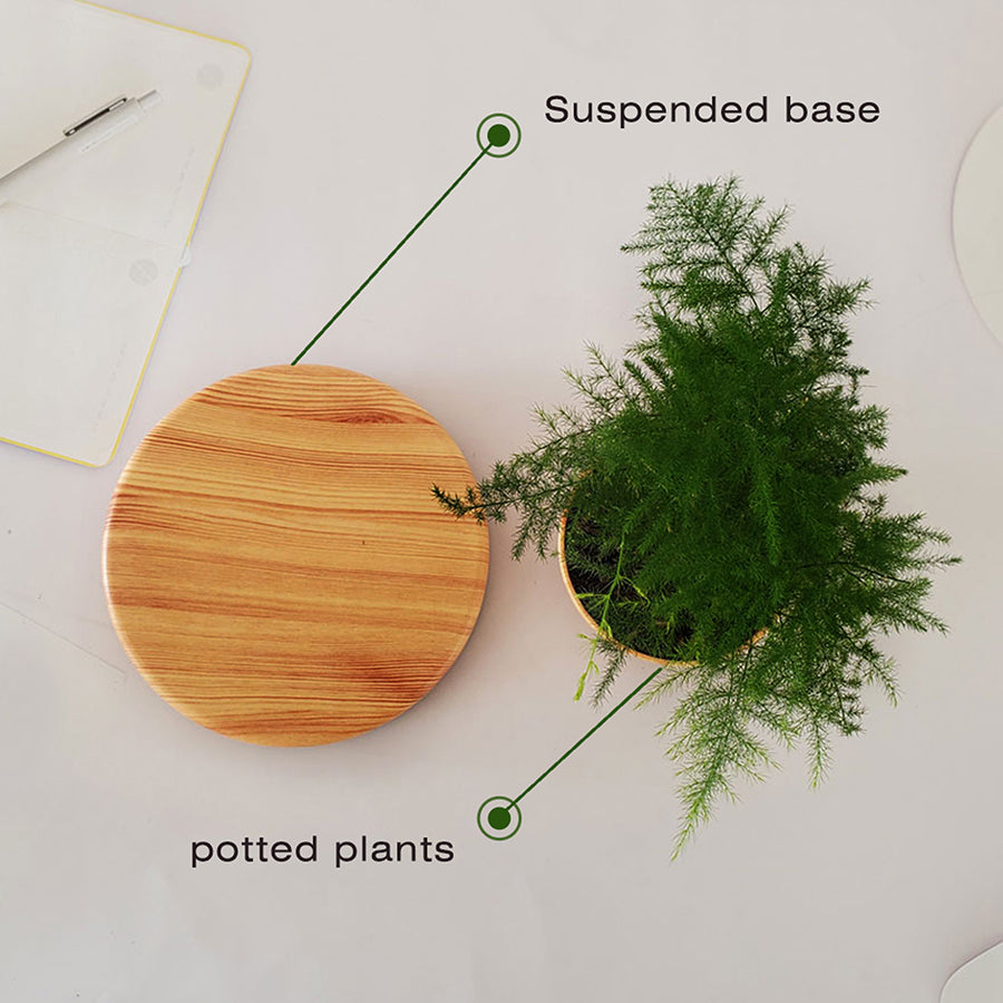 LevitaSphere Wood Grain - Korvel