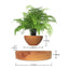 LevitaSphere Wood Grain - Korvel
