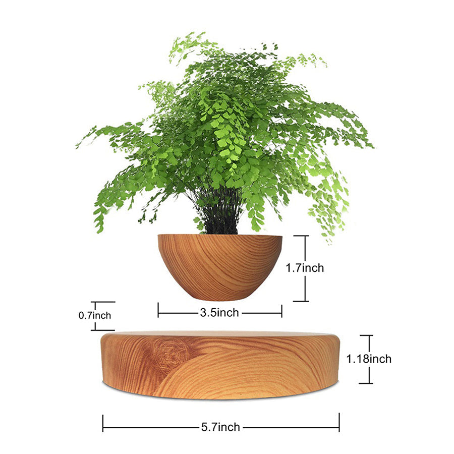 LevitaSphere Wood Grain - Korvel