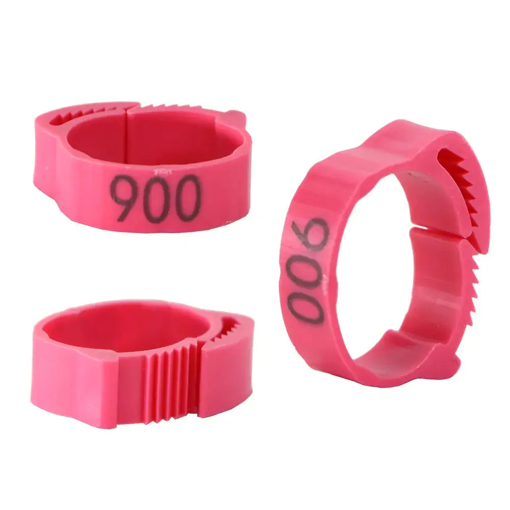 Anillos para patas de pollo - Edición Clucktastic