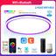 Plafonnier Slim 24W pour Salon