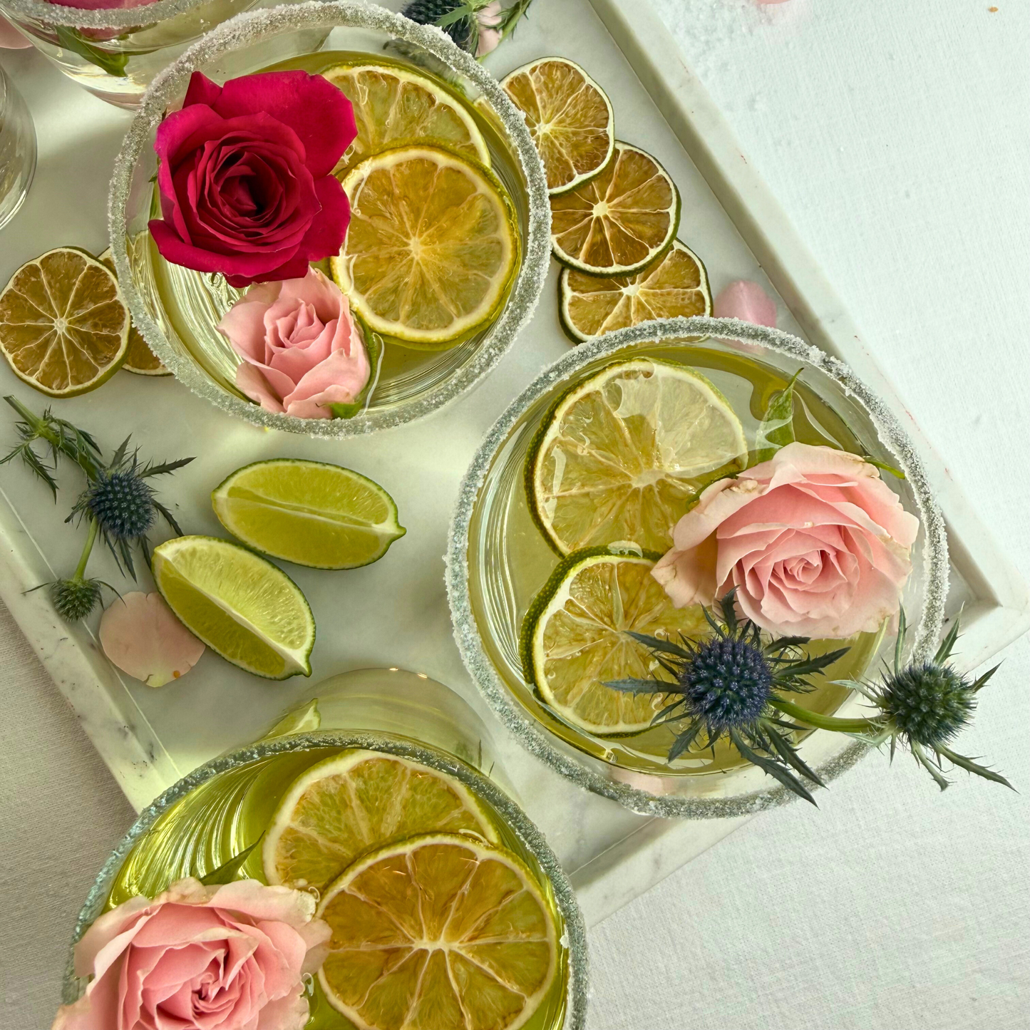 Tranches de citron vert déshydratées pour le bar et la décoration