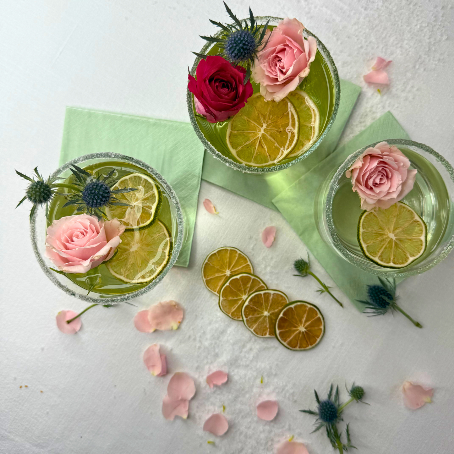 Tranches de citron vert déshydratées pour le bar et la décoration