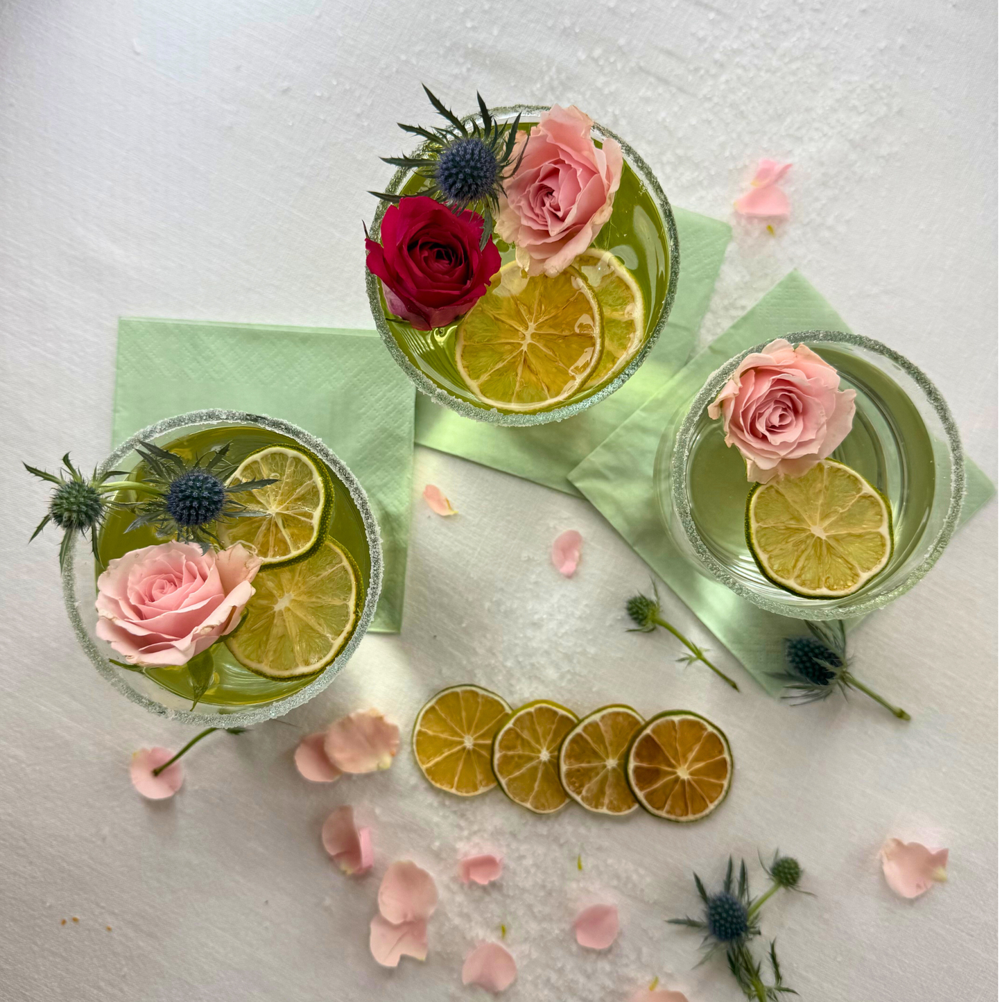 Tranches de citron vert déshydratées pour le bar et la décoration