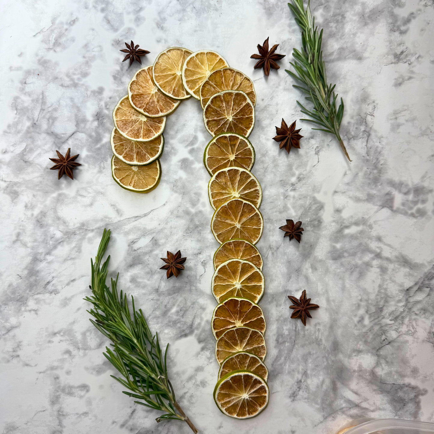 Tranches de citron vert déshydratées pour le bar et la décoration