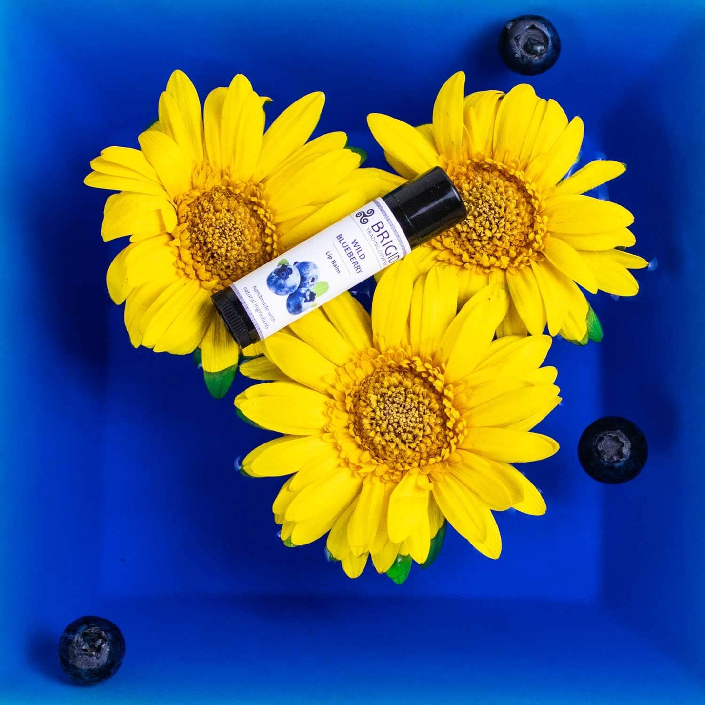 Delicious Blueberry Infused Natural Lip Balm - Korvel