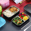 Premium Stainless Steel Two-Layer Lunch Box